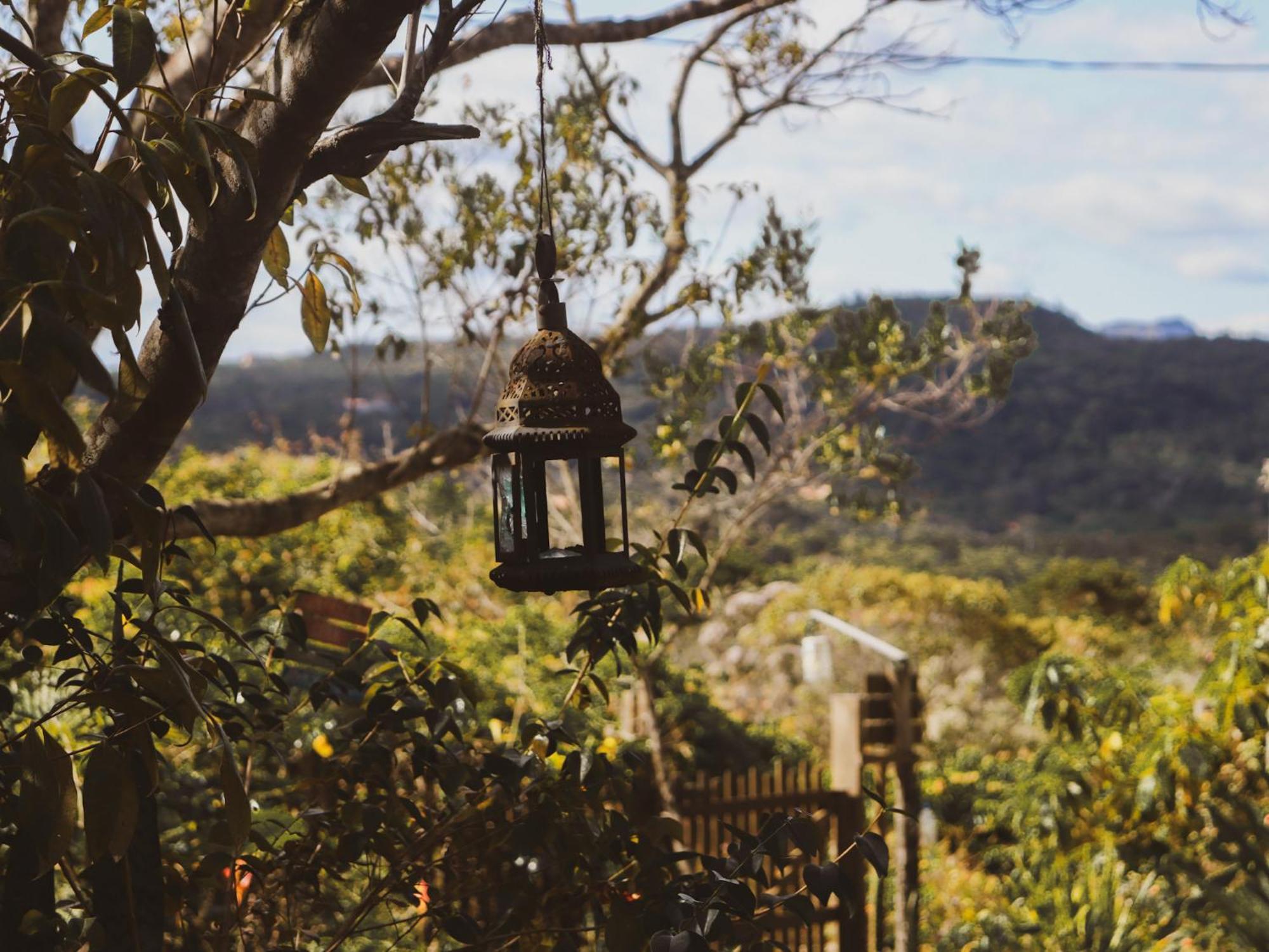 Filhos Da Floresta -
